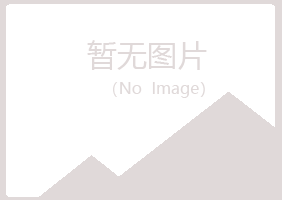 吉安雅山会计有限公司